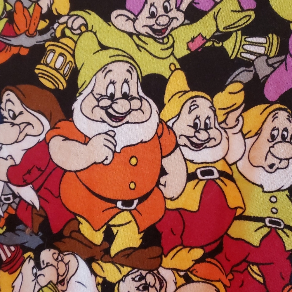 LuLaRoe Disney Seven Dwarfs Gracie t-shirt  Size 6